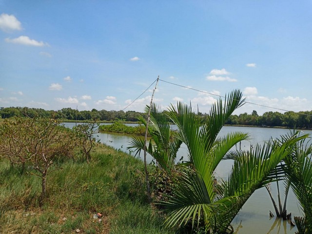  Land for sale 26 rai, Samut Prakan  images 3