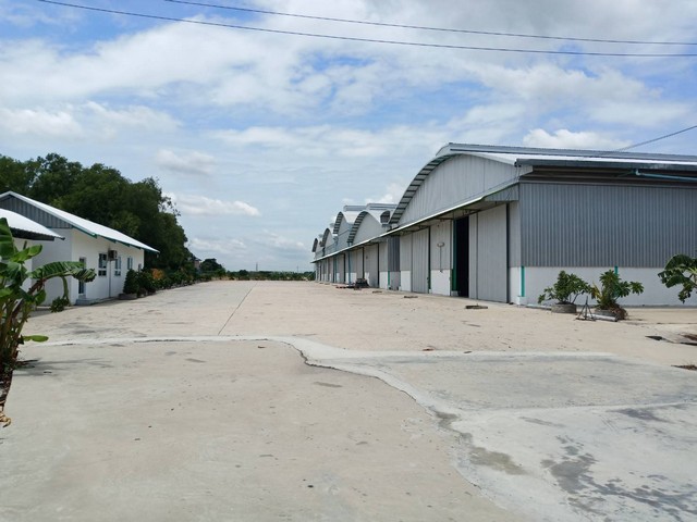      Warehouse for rent 1750 sqm.Bang Pa-In,Ayutthaya images 2