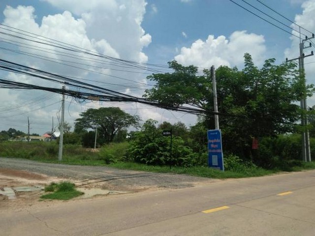  Land for sale 8 rai Roi Et Province   images 2