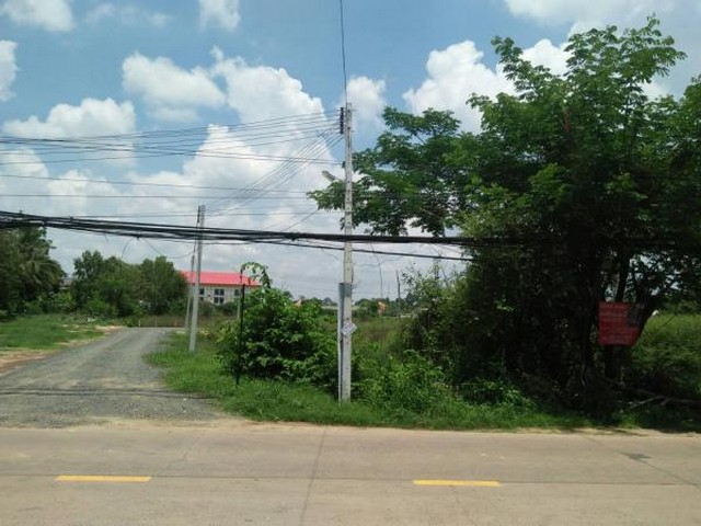  Land for sale 8 rai Roi Et Province   images 3