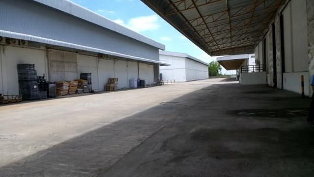 Wang Noi warehouse 10300 sqm. for rent. images 5
