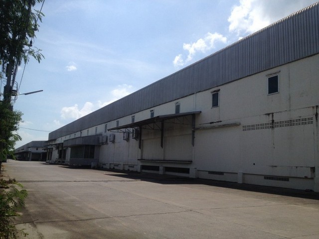  Warehouse for rent1000- 10000 sqm.Ayutthaya province images 4