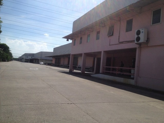   Warehouse for rent1000- 10000 sqm.Ayutthaya province images 5