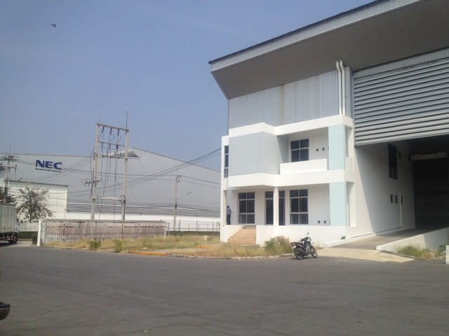 Warehouse for rent Bangna 39BangPakong 1550 sq.m images 4