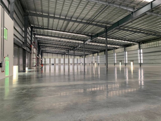  Factory for rent 1575 sqm.bangna km.23 images 2