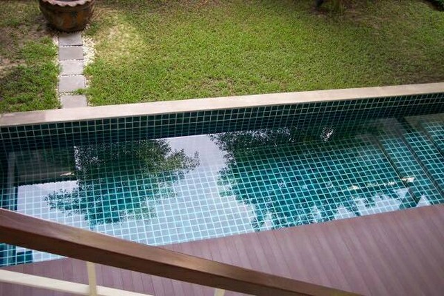 บ้านเช่าพักอาศัยสุขุมวิทมีสวนหย่อมพร้อมสระว่ายน้ำส่วนตัว  รูปที่ 1